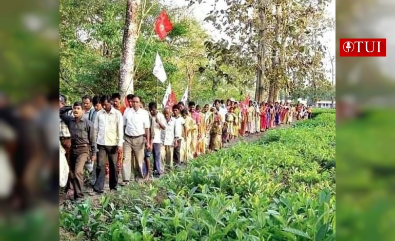 কেন্দ্রের বিরুদ্ধে বঞ্চনার দাবিতে উত্তরবঙ্গ জুড়ে চা শ্রমিকদের বিক্ষোভ